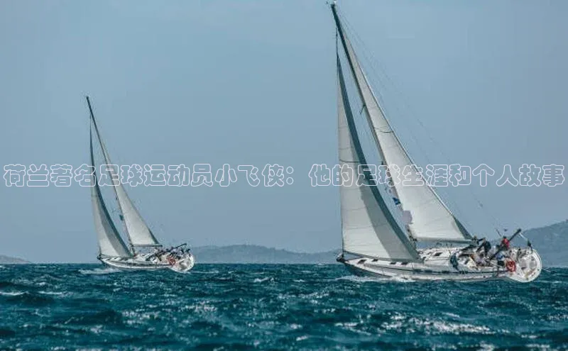 william威廉官网京东荷兰著名足球运动员小飞侠：他的足球生涯和个人故事