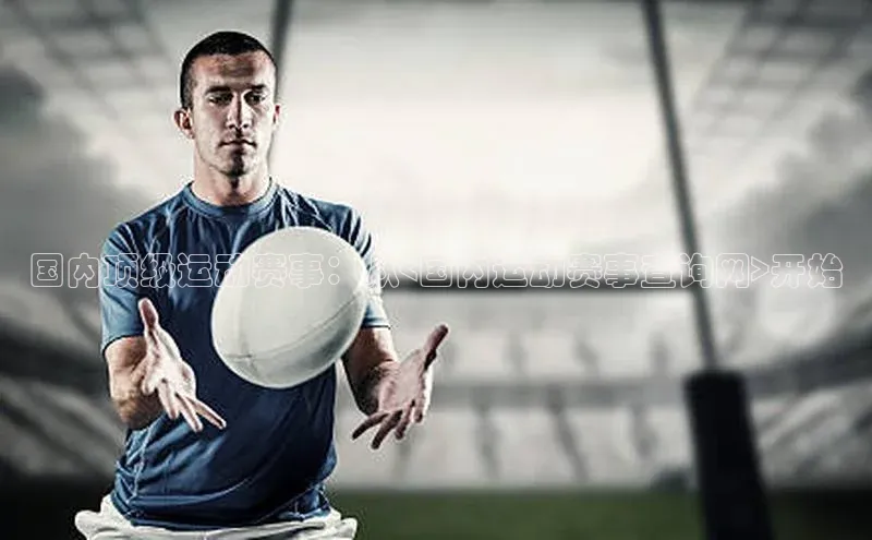 国内顶级运动赛事：从<国内运动赛事查询网>开始