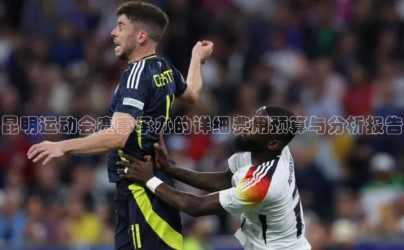 昆明运动会赛事承办的详细费用预算与分析报告