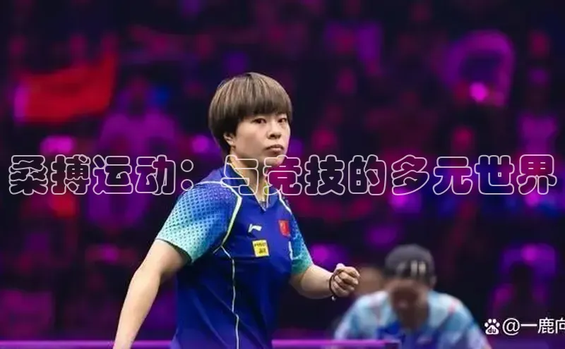 桑搏运动：与竞技的多元世界