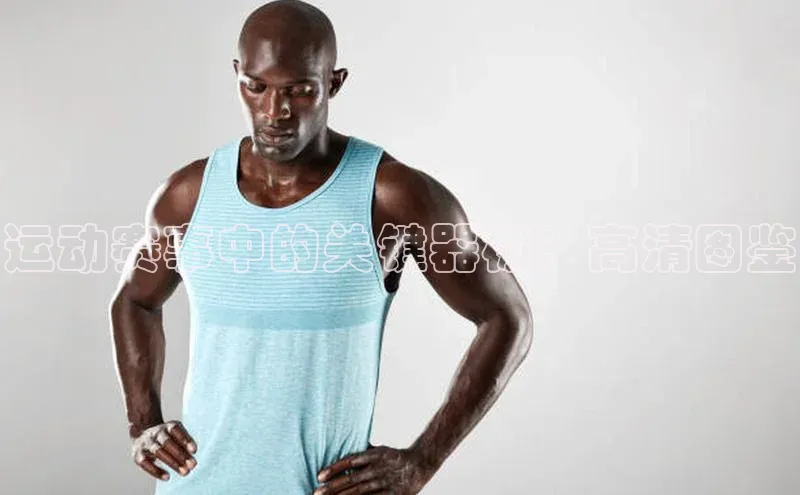 运动赛事中的关键器械：高清图鉴