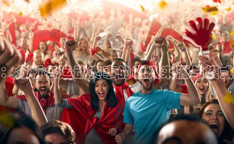 ：分析各运动赛事的收入来源与模式