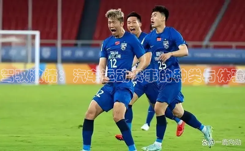 驾驭激情：汽车运动赛事的种类与体验